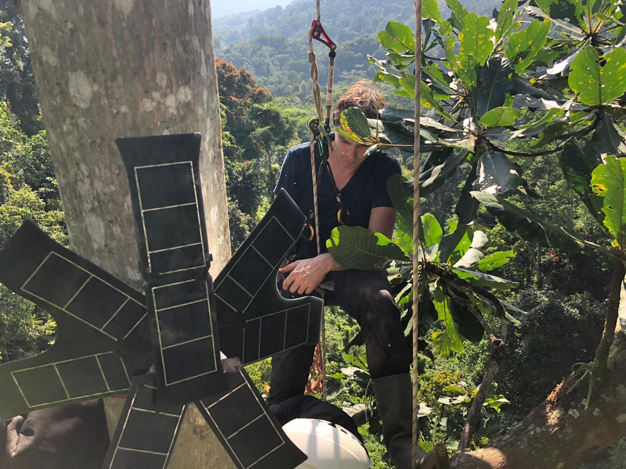 Kolaborasi Huawei dan RFCx Klaim Ikut Lindungi Hutan Sumatera