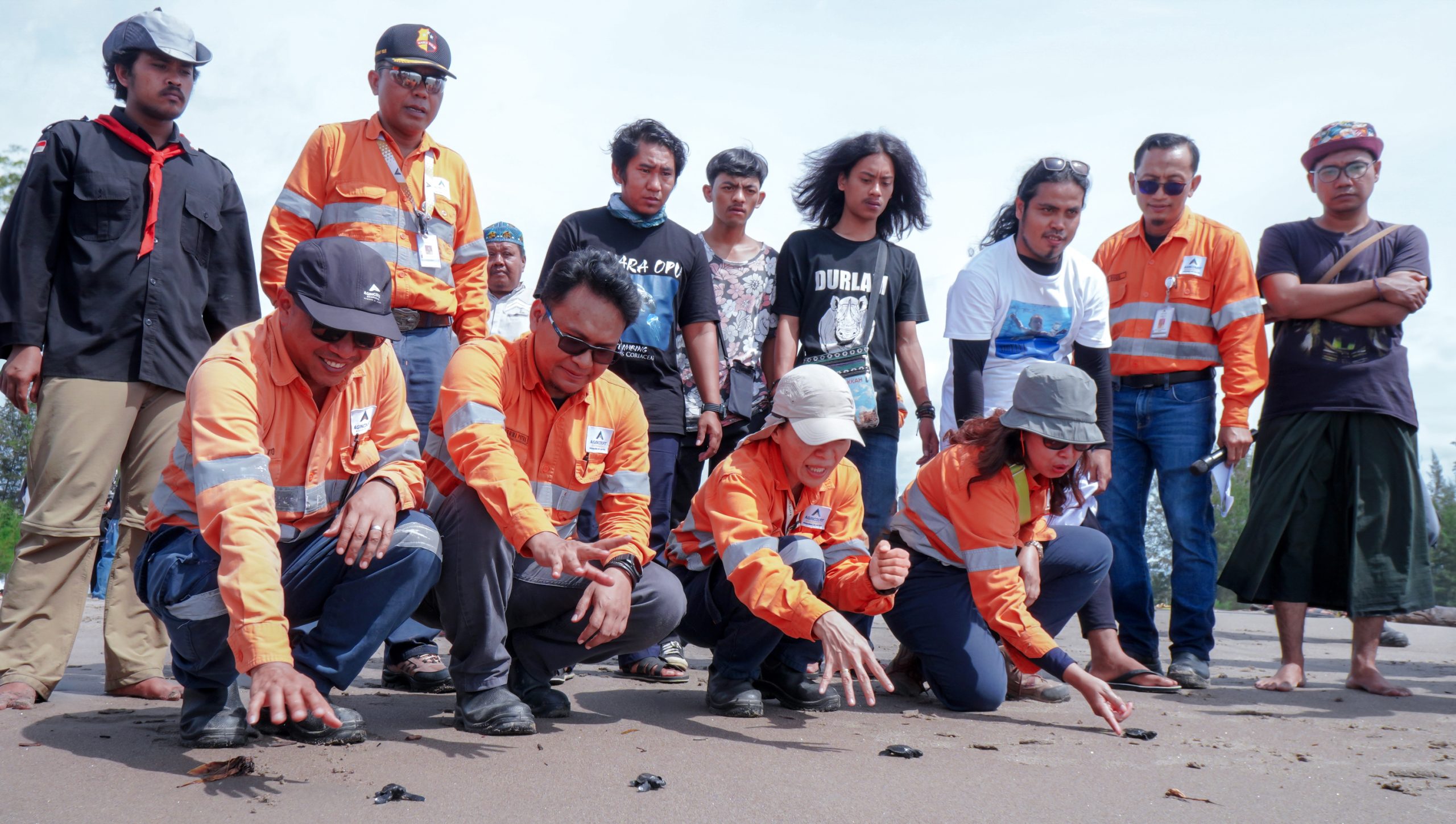 Pelepasan 1.000 Tukik oleh PT Agincourt Resources di Muara Batangtoru Menyinari Keanekaragaman Hayati Laut